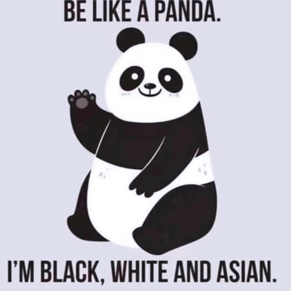 Meet your Posher, Jojo